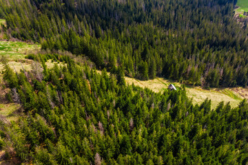 Aerial view of a dense coniferous forest bordering a mountain residential area. Focus on woodland, clearings, and scattered houses in the Polish highlands.