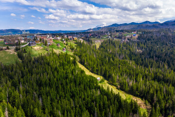 Aerial view of a dense coniferous forest bordering a mountain residential area. Focus on woodland, clearings, and scattered houses in the Polish highlands.