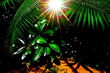 Bright sunburst through lush green tropical palm leaves and foliage creating a vibrant natural and energetic outdoor scene with dappled light