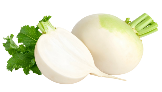 Close-up studio shot of a white root vegetable, with green stems and leaves. One cut