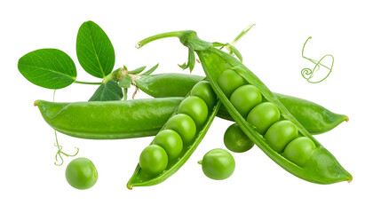 Close-up of open and closed vibrant green pods with round peas and leafy tendrils