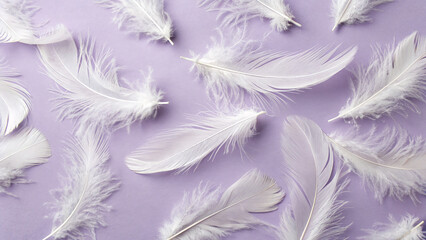Obraz premium Soft white feathers scattered on a pastel purple background create a serene and tranquil atmosphere for creativity and design