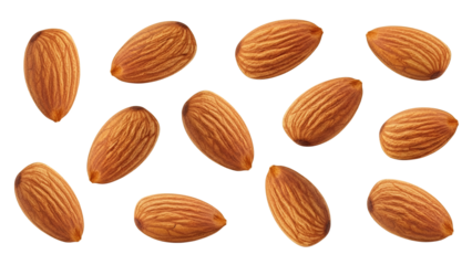 Elegant presentation of whole almonds against a pristine white backdrop, showcasing their natural textures and shapes in a clean and minimalist