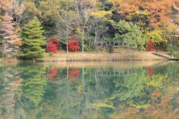 散策路のある公園の秋の風景