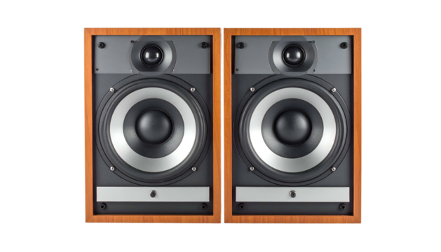 Pair of vintage-style audio speakers with wooden frames and black/silver speaker cones