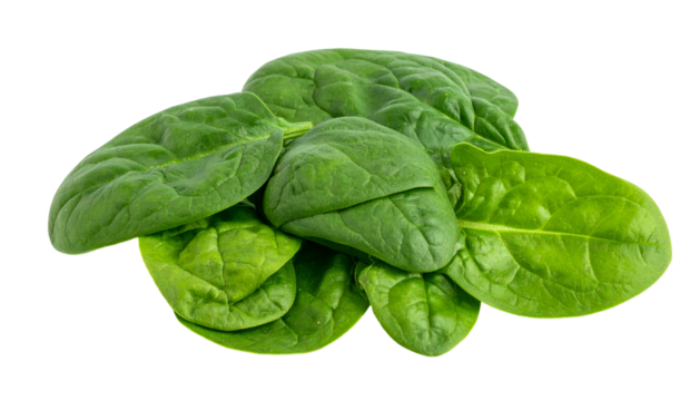 Close-up of fresh, vibrant green spinach leaves arranged against a solid black backdrop