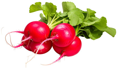 Close-up of vibrant red, spherical root vegetables with green, leafy tops