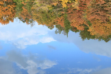 池の水面に映った、対岸の紅葉した森と青空