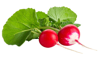 Close-up of two vibrant red root vegetables with green leaves and a clean black background