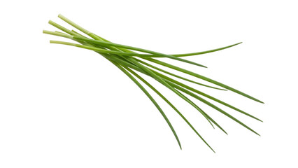Fresh bunch of chives on white surface showcasing natural vibrant green tone and delicate texture ready for culinary applications