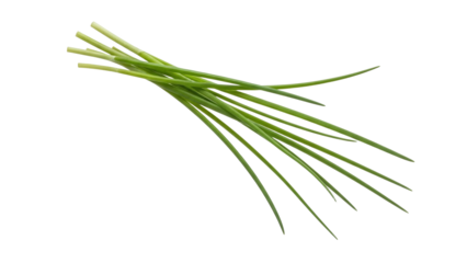 Fresh bunch of chives on white surface showcasing natural vibrant green tone and delicate texture ready for culinary applications
