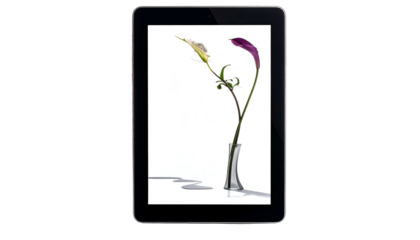 Modern black tablet displaying a vibrant image of calla lilies in a vase against white