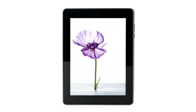 Tablet displays a purple flower on a white background, black screen frame