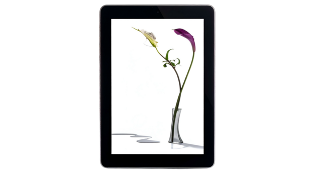 Modern black tablet displaying a vibrant image of calla lilies in a vase against white