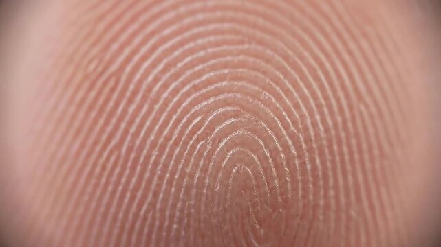 Slow zoom into a single fingerprint on a human thumb revealing the complex loop and whorl patterns of the friction ridges against a dark void for criminal investigation themes