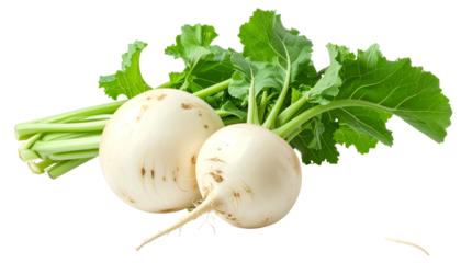 Two round white root vegetables with green leafy tops, isolated on a transparent background