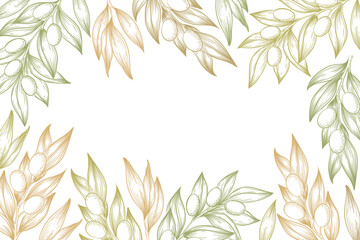 Vector illustration with hand drawn olive branches, leaves and berries frame isolated on white background. Botanical design for banner, print, card, label, beauty and cosmetic products