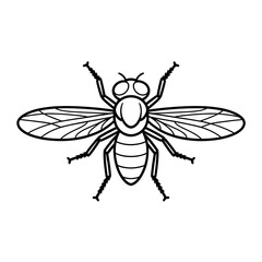 fly on white background coloring page 