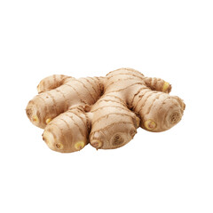 Fototapeta premium Freshly Harvested Ginger Root with Distinctive Knobby Texture Against a Stark Black Background