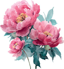 Soft watercolor depiction of lush pink peonies surrounded by gentle green leaves in a graceful floral arrangement - vector illustration