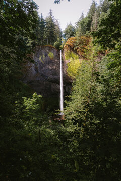 Latourell Waterfall surrounded by trees on sunny summer day
