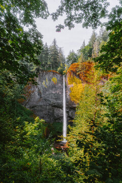 Bright summer day at popular Oregon destination, Latourell falls
