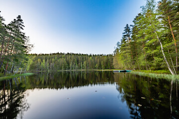 lake in the forest