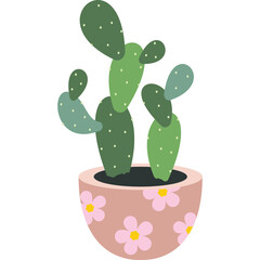 Potted Prickly Pear Cactus With Green Pads And Small White Spines In A Pink Floral Pot With A White Background