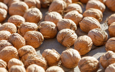Walnuts are dried in the sun. Close-up