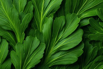 Fresh leafy patterns forming soft geometry, clean eating, botanical nourishment