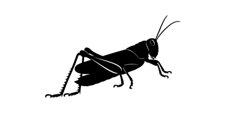 Black Silhouette Icon of a Grasshopper Insect Isolated on White Background