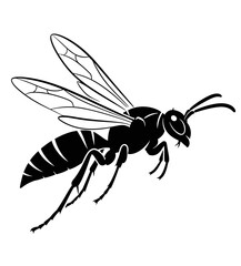 Striking Black and White Illustration of a Wasp in Flight Insect Vector Graphic