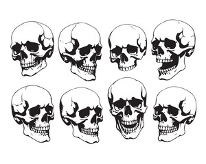 Hand Drawn Human Anatomical Skulls Vector Set in Various Angles