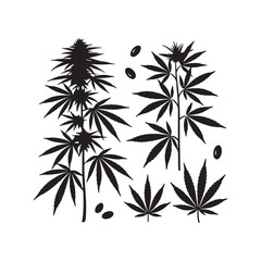 Cannabis Sativa Hemp Plant Silhouette Vector Set