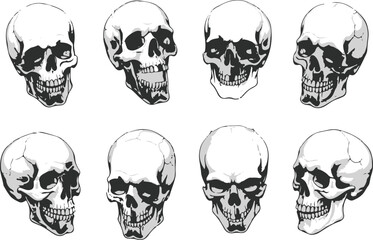 Hand Drawn Human Anatomical Skulls Vector Set in Various Angles