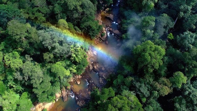 Aerial view of a lush rainforest with a rainbow arching over a rocky river and mist. Concept Aerial rainforest view, Rainbow arch over river, Misty jungle canopies, Rocky riverbed - Powered by Adobe