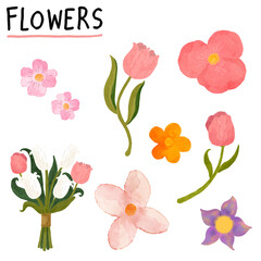 flowers illustration transparant background