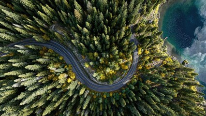 An aerial view of a winding road snaking through a dense evergreen forest beside a turquoise lake. Concept Aerial Landscape, Winding Forest Road, Turquoise Lake, Evergreen Forests, Drone Photography