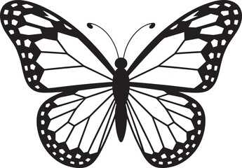 Detailed Butterfly Vector Illustration for Nature-Themed Designs and Educational Projects