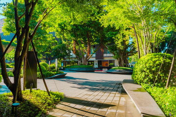 The view of Taichung City in Taiwan, 2025