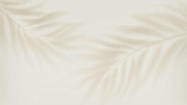Cream Silk Fabric Background With Soft Waves For Elegant Design And Calm Mood Texture
