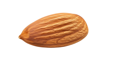 Single whole almond nut, with textured brown skin and detailed surface lines, isolated on transparent background, cutout, PNG