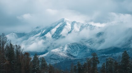 Snow covered mountain peaks shrouded in mist and clouds with pine trees foreground image