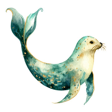 Watercolor vector illustration of Selkie, isolated on white background.