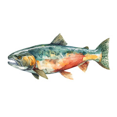 Salmon in watercolor style, vector illustration, isolated on white background.
