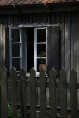 Morning in the countryside.