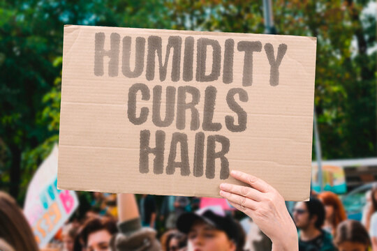 "Humidity Curls Hair" Moisture absorption alters strand texture dramatically. FRIZZ. VOLUME. TEXTURE. STYLING. MANAGEABILITY.