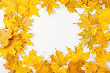 Fototapeta premium Golden Frame of Autumnal Maple Leaves A Vibrant Fall Season Showcase on transparent background