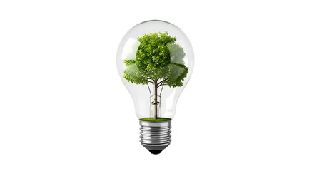 A green tree with lush foliage, growing inside a clear glass light bulb, isolated on transparent background, cutout, PNG
