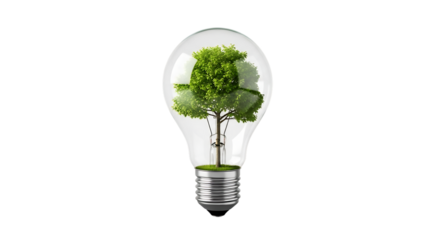 A green tree with lush foliage, growing inside a clear glass light bulb, isolated on transparent background, cutout, PNG